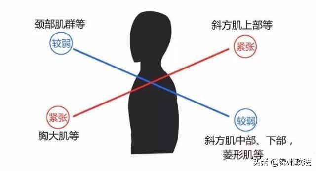 最准一肖一码100%最准软件，深度研究解析说明：如何改善圆肩驼背、脖子前倾 恢复良好体态？  